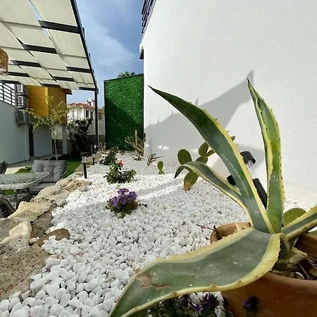 Villa Tila *